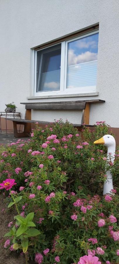 Fewo Hafner "Zuhause Mit Ausblick" Schnaittach Esterno foto